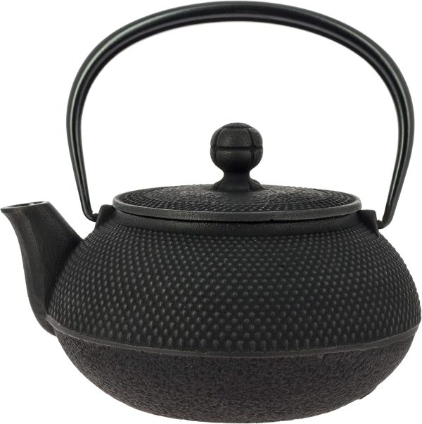 Iwachu TT12002BK teiera in ghisa 600 ml recensione